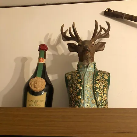 Apartment I Due Cervi