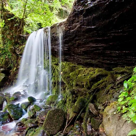 Appartement I Due Cervi