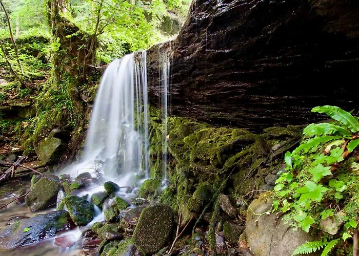 Διαμέρισμα I Due Cervi