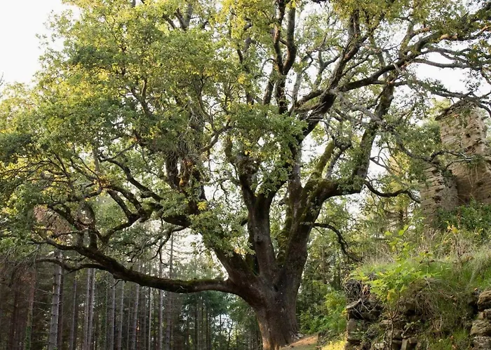 I Due Cervi Διαμέρισμα