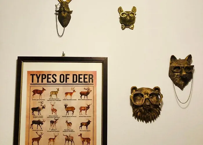 I Due Cervi Apartament